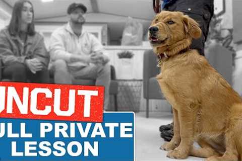 Dog Training SOS: Aggressive Dog Or Leadership Issue?