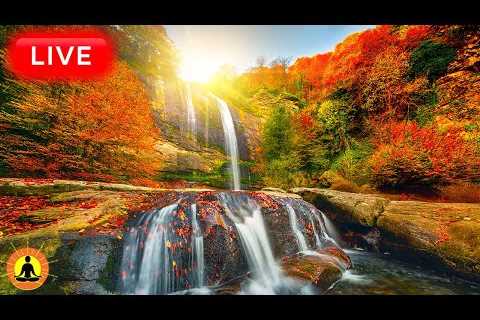 🔴 Relaxing Music 24/7, Stress Relief Music, Sleep Music, Meditation Music, Study, Waterfall Sounds