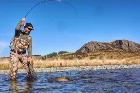 FLY FISHING for TROUT on a COLD, SUNNY Day in New Zealand