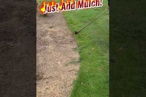 Weedeater Edging Works Great for Flower Beds with No Border