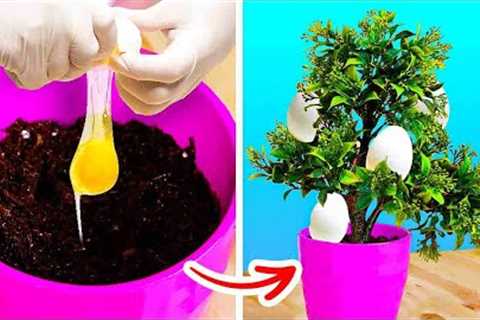 Unexpected Gardening Hacks to make your Plants grow