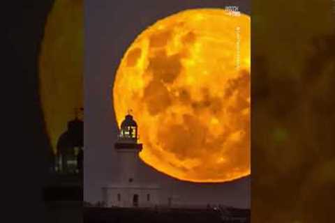 Stunning Timelapse of Full 'Flower Moon' Captured in Australia 🌕