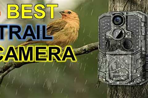 ✅ TOP 5 Best Trail Camera, Best Trail Camera reviews in 2023