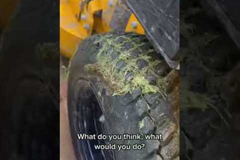I STOP servicing yards like this #lawncare #service #business