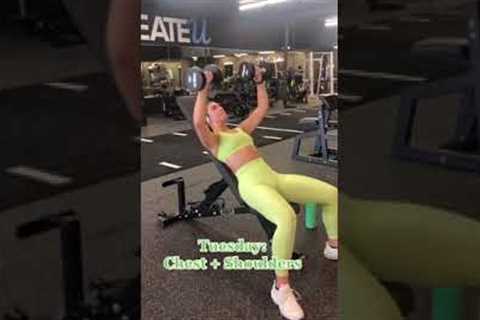 Current Workout Split