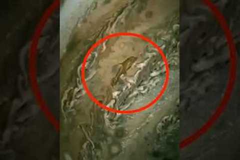 James Webb Telescope Unexpected Image Of Jupiter SHOCKS The Entire Industry! #jameswebb #trending