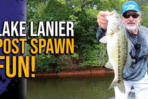 Lake Lanier Post Spawn Fun #lakelanierfishing2023