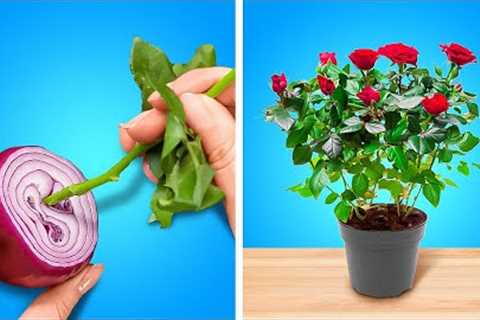 Top Gardening Secrets You Need To Know || Easy Planting Hacks 🌳