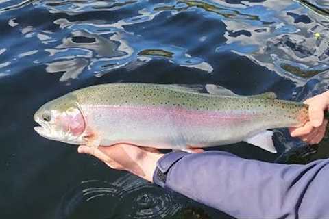 Amazing Stillwater Chironomid Fly Fishing in British Columbia Canada