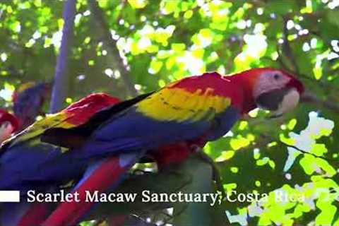 Princess Cruise Line - Number 1 for Panama Canal cruises