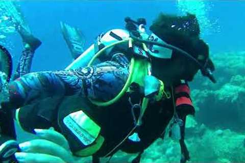 Scuba Havelock /scuba diving #travel #travelvlog #ytsearch