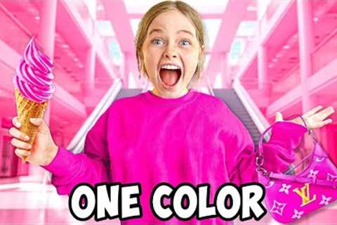I Bought Everything In ONE COLOR for my Sister!