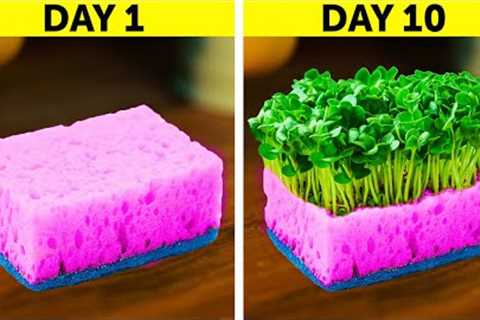 USEFUL GARDENING HACKS FOR SUMMER