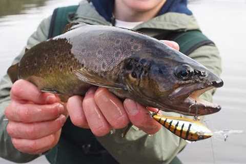 Fishing Lake Pedder with HALCO TACKLE (New TB55 Lure)!!