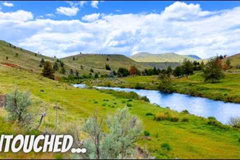 The RAREST Opportunity in Fly Fishing