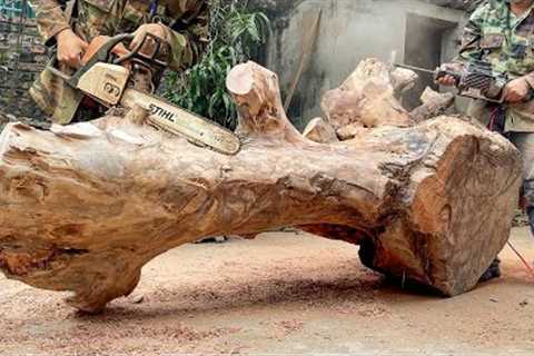 Treasures From A 300 Year Old Tree / Coffee Table From A Strange Tree / Woodworking Projects