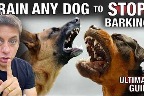 How To STOP Any Dog From Excessive Barking: The Ultimate Guide.