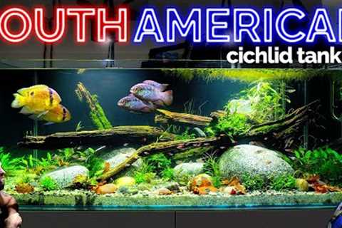 The South American Cichlid Aquarium: EPIC 4ft Planted Tank Aquascape Tutorial