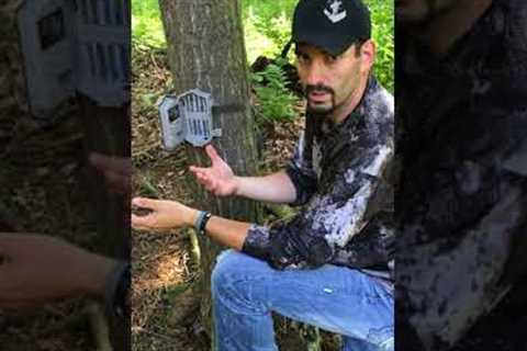 Mark Peterson - Trail Camera Tips | Intervals &amp; Trigger Speed