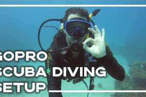 GoPro Hero 9 Scuba Diving Guide - GoPro Hero 11 Compatible 🐠 (Gear &amp; Settings) | Stoked For..