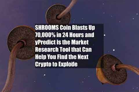 SHROOMS Coin Blasts Up 70,000% in 24 Hours and yPredict is the Market Research Tool that Can Help