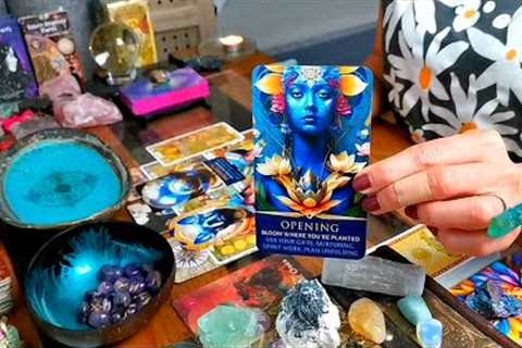 AQUARIUS - GATEWAY TO GOOD FORTUNE!! YOUR WORK IS REWARDED!! CAREER MID-MAY 2023