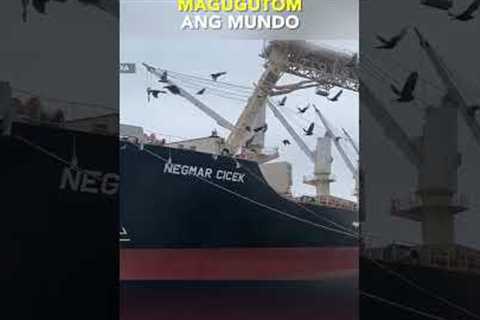 Global food crisis, ibinabala kung uurong ang Russia sa Black Sea Ukraine grain deal – WFP