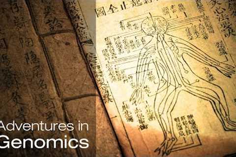 Traditional medicine: A new look at nature’s treasures| Adventures in Genomics