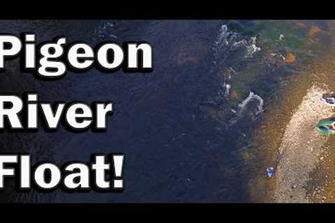 Fly Fishing &amp; Floating The Pigeon River For BIG Smallmouth!!
