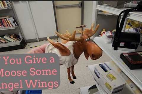You Must Be At Goodwill - Shop Along With Me - Goodwill Thrift Store