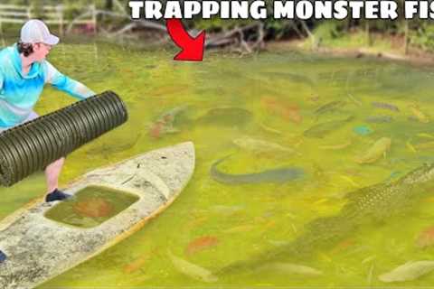 Trapping MONSTER Aquarium Fish in ABANDONED POND!