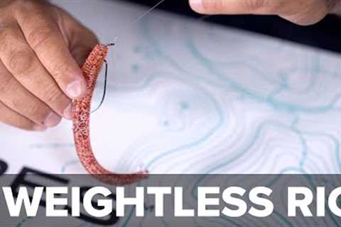 Rig It To Life!  Weightless Wicked Rig from Live Lures