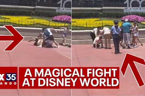 Punches fly between families at Disney's Magic Kingdom in fight over photo op