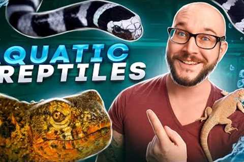 Top 5 BEST Pet Aquatic Reptiles
