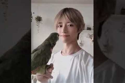 kpop idols who own unusual pets#kpop #exoticpets #petslover#shorts