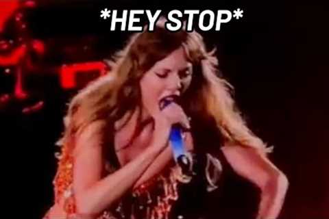 Taylor Swift DEFENDING her fans from the security guard at eras tour