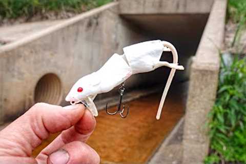 Fishing The MOUSE LURE In Front Of A TUNNEL!!! (It Got DESTROYED)