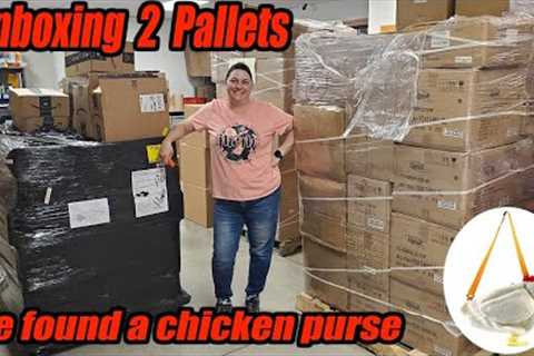 Unboxing 2 pallets of Products - We found a Chicken purse! We also found wind spinners.