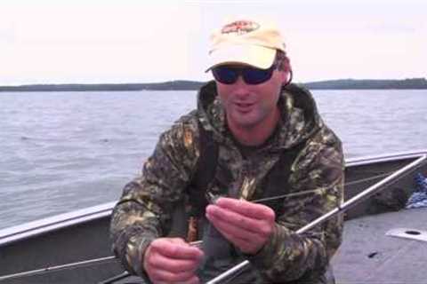 Rainy Lake Muskies