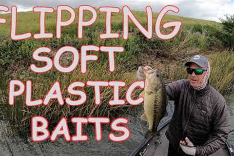 Fishing Soft Plastic Baits.