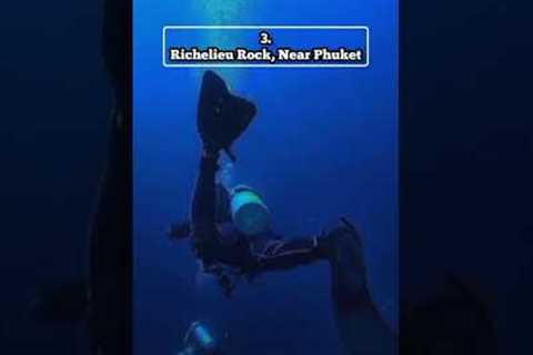 Best Places to do Scuba Diving in Thailand 🇹🇭 🏝️ #shorts #travel #thailand #scubadiving