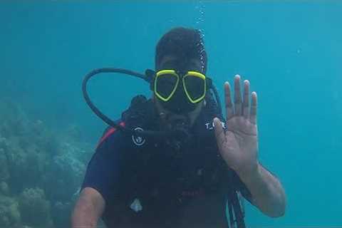 Andaman nicobar island tour part-2 | Havelock island | Beach resort |scuba diving Neil  island#vlog8