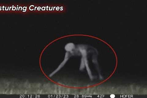 Most Disturbing Trail Cam Footage Ever 2023