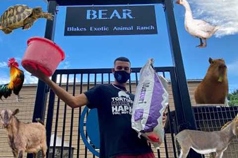 FEEDING ALL MY EXOTIC PETS ON THE RANCH! “ITS A LOT”