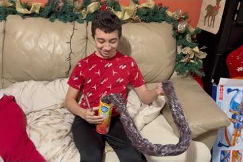 Snake in Potato Chips Can Prank Review - Funny Gifts fr Kids