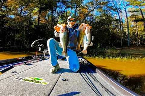 Fishing EXTREMELY MUDDY WATER After a HUGE COLD FRONT // Lake Chesdin Bass Fishing