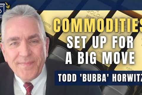 Gold, Oil, Wheat, and These Commodities are Set Up For a Dramatic Move: Todd Horwitz