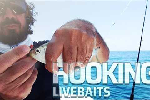 How To Hook Live Bait