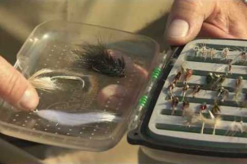 Proven Fly Fishing Techniques For Trout | How To
