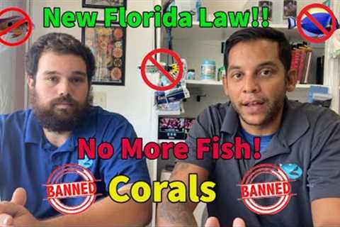 🚨Emergency🚨Florida Banning Aquarium Fish!!!!!